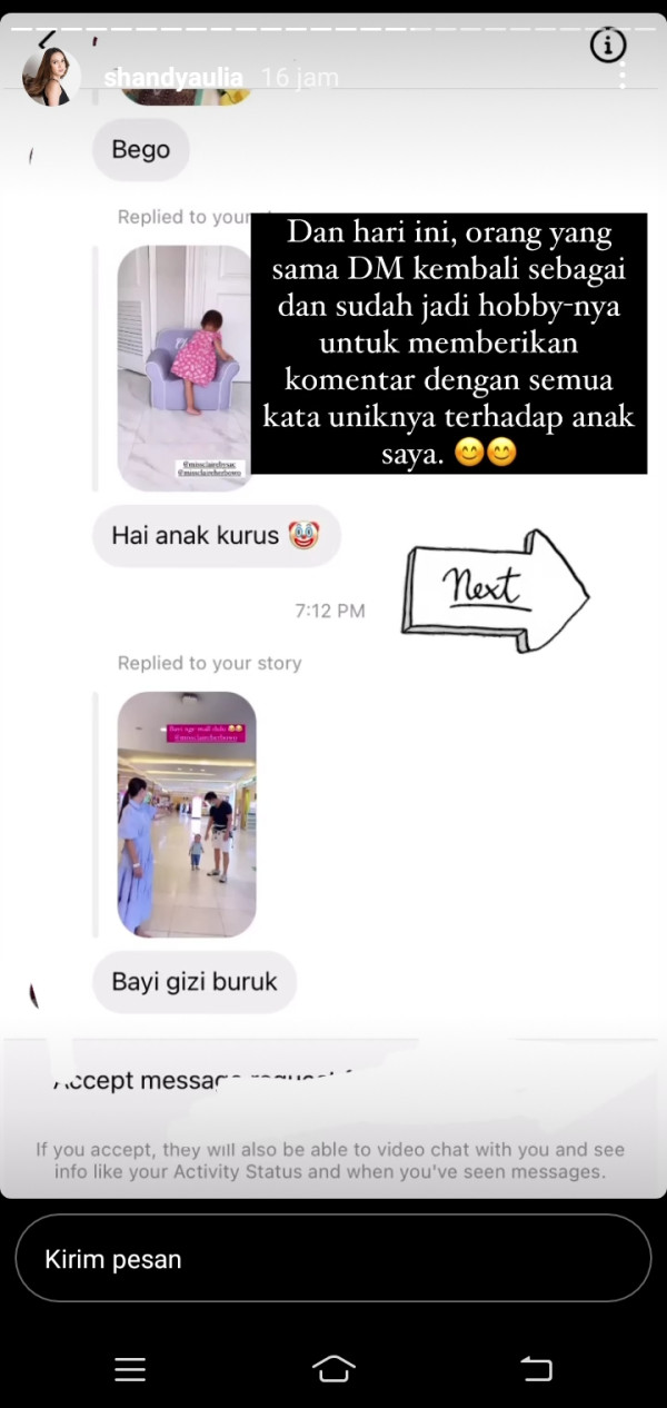 Anak Dihina Gizi Buruk, Shandy Aulia Tak Tinggal Diam