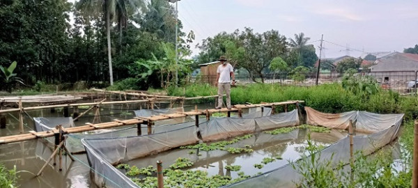 Produktif di Masa Pendemi, Yuk Intip Usaha Pemuda Karang Taruna di Tangerang Selatan