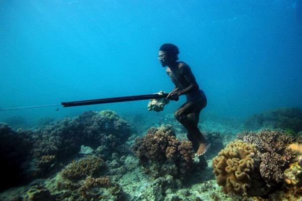 Suku-Suku Penghuni Laut dengan Kemampuan Khusus Luar Biasa