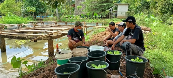 Produktif di Masa Pendemi, Yuk Intip Usaha Pemuda Karang Taruna di Tangerang Selatan