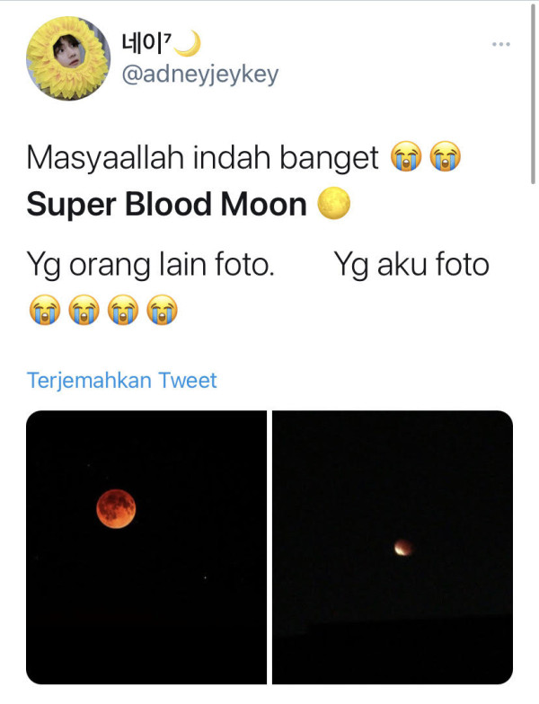 Warganet Antusias Hunting Foto Super Blood Moon dengan Smartphone, Keren Juga Hasilnya...