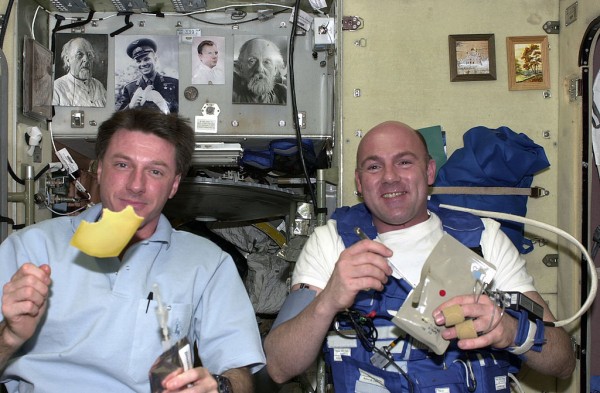 Kabar Baik Buat Para Astronot, Kulkas Khusus Luar Angkasa Telah Ditemukan