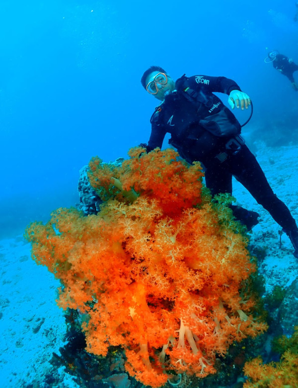 Menjelajah Kawasan Bawah Laut Likupang yang Tak Kalah Indahnya dengan Bunaken