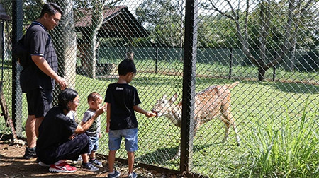 Lelah #DiRumahAja? di Lido Lake Resort Anak-Anak Nikmati Kegembiraan yang Hilang karena COVID-19