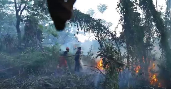 Kebakaran Lahan Gambut di Parepare Bikin Panik Warga Sekitar