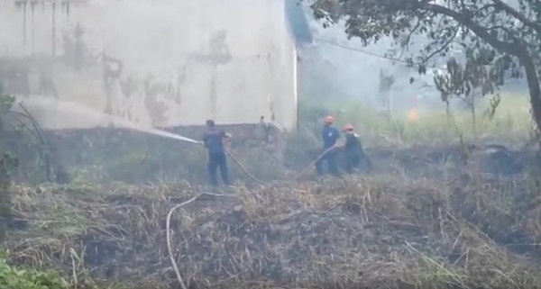 Kebakaran Lahan Gambut di Parepare Bikin Panik Warga Sekitar
