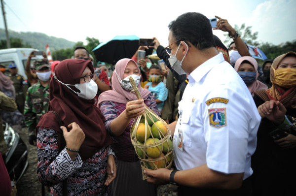 Anies Panen Raya Bersama Bupati Sumedang: Terima Kasih Para Petani Sudah Bantu Warga Jakarta