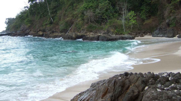 Menikmati Keindahan Pantai Sukamade, Surga Tersembunyi di Banyuwangi yang Penuh Misteri