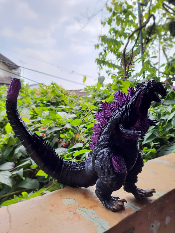 Begini Hasil Foto Quad Camera 64 MP Samsung Galaxy M62
