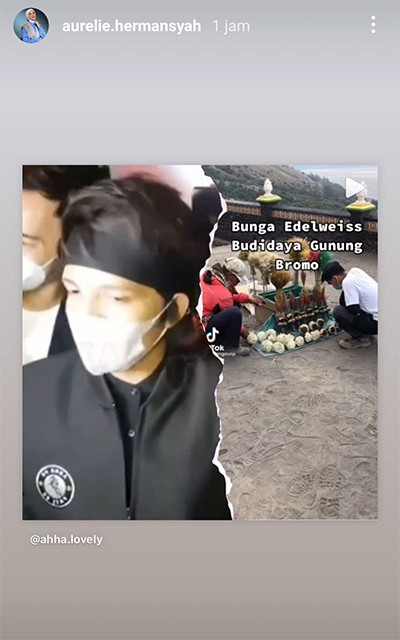 Dikecam Netizen, Aurel Hermansyah Bagikan Informasi soal Budidaya Edelweis untuk Dijual