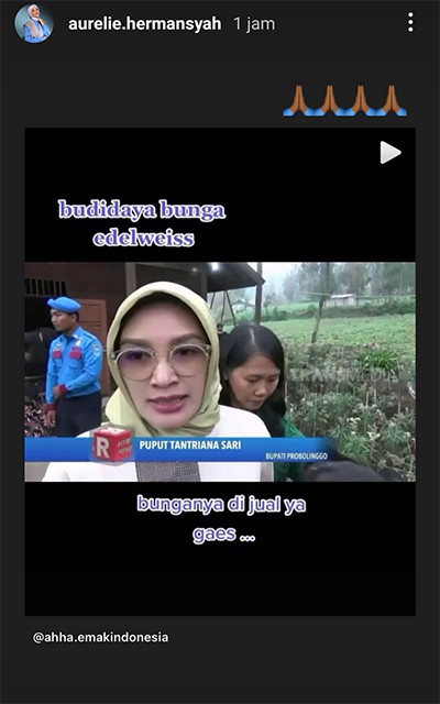 Dikecam Netizen, Aurel Hermansyah Bagikan Informasi soal Budidaya Edelweis untuk Dijual