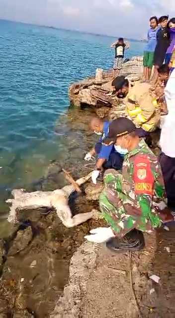 Mayat Manusia Tanpa Kepala dan Tangan Gegerkan Pulau Lancang
