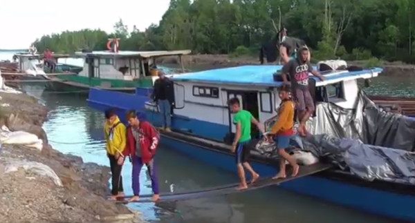 2 Kapal Pengangkut Kayu Ilegal Ditangkap Saat Memasuki Perairan Tarakan
