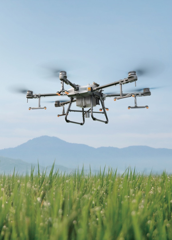 Perbedaan DJI Agras T30 dan Agras T10, Drone Pertanian Penyemprot Benih dan Pupuk