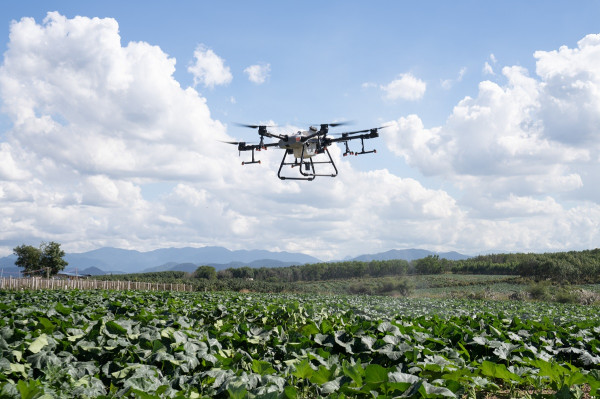 Perbedaan DJI Agras T30 dan Agras T10, Drone Pertanian Penyemprot Benih dan Pupuk