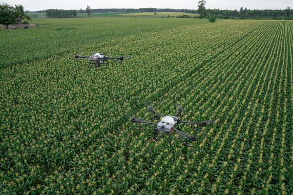 Perbedaan DJI Agras T30 dan Agras T10, Drone Pertanian Penyemprot Benih dan Pupuk