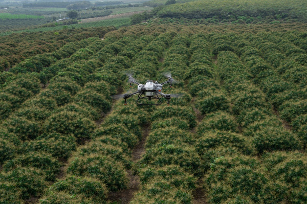 Perbedaan DJI Agras T30 dan Agras T10, Drone Pertanian Penyemprot Benih dan Pupuk