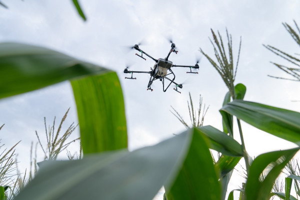 DJI Kenalkan Drone Pertanian DJI Agras T30 dan T10, Harganya Ratusan Juta