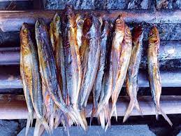 Asal usul Ikan Tuing-tuing di Mandar dan Pancing Emas di Tenggorokan Putri Raja