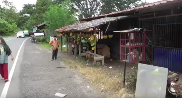 Warga Mamuju Mendadak Resah, Ternyata Lahan yang Dihuni Puluhan Tahun Masuk Kawasan Hutan Lindung