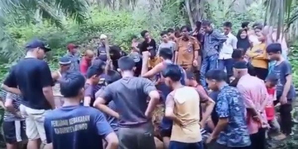 Ular Piton Sepanjang 8 Meter Gemparkan Warga Bungo