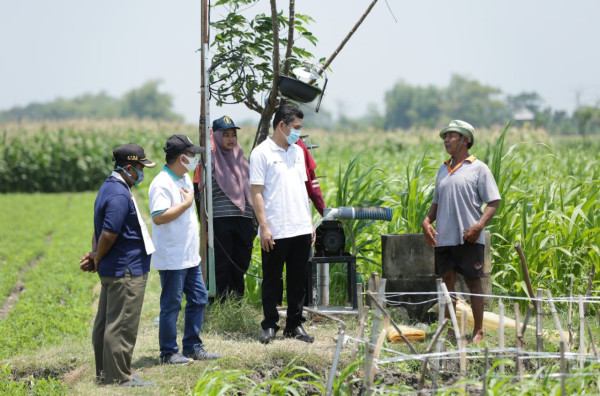 PLN Salurkan Rp4,8 Miliar Bantu Petani di 54 Lokasi lewat Program Electrifying Agriculture