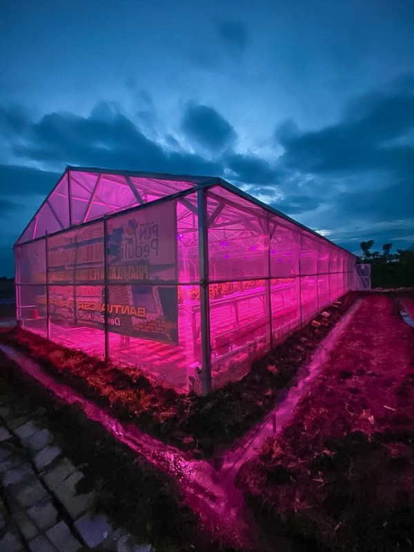 PLN Salurkan Rp4,8 Miliar Bantu Petani di 54 Lokasi lewat Program Electrifying Agriculture