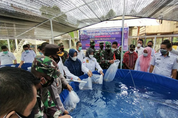 TMMD 111 Kodim 1412 Kembangkan Budidaya Ikan Air Tawar Sistem Bioflok di Koltim