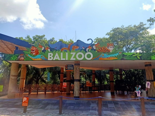 Hewan-Hewan di Bali Zoo Pun Ikut Merasakan Dampak PPKM Level 4