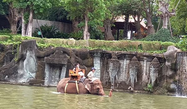 Hewan-Hewan di Bali Zoo Pun Ikut Merasakan Dampak PPKM Level 4