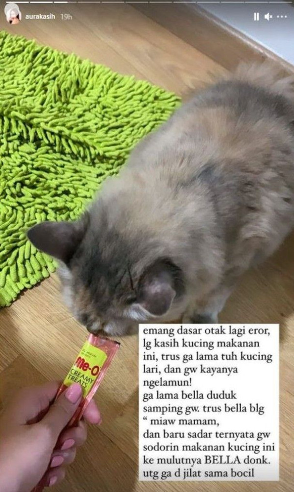 Aura Kasih Hampir Suapi Anak dengan Makanan Kucing, Begini Kronologinya