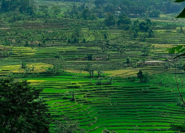 5 Tempat Wisata di Bogor Timur dengan Pemandangan Indah