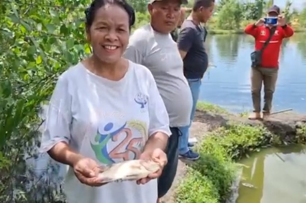 Ratusan Ribu Ikan dan Udang Tambak di Medan, Diduga Tercemar Limbah Pabrik