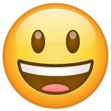 14 Emoji Paling Populer dan Maknanya