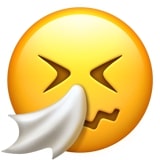 14 Emoji Paling Populer dan Maknanya