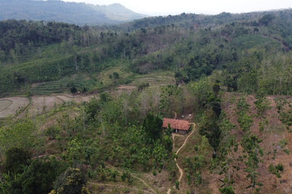76 Tahun Indonesia Merdeka, 3 Perempuan di Rembang Hidup Memprihatinkan di Tengah Hutan