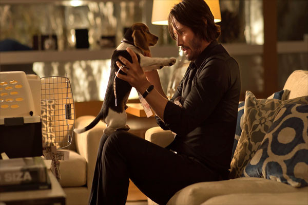 Casting, Plot Cerita dan Serba Serbi John Wick: Chapter 4