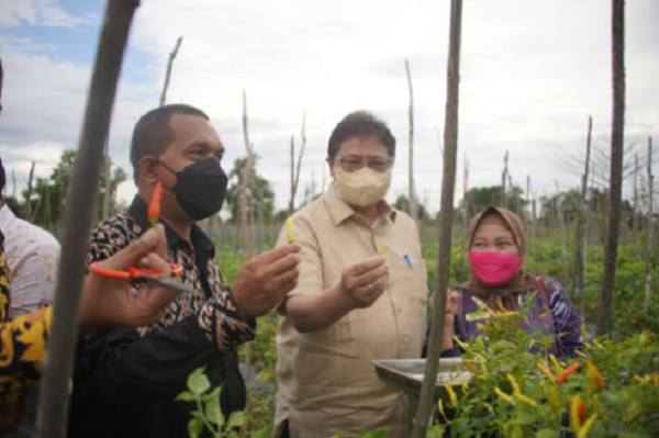 Airlangga Hartarto Apresiasi Terobosan Kalsel, Bantu Warga Isoman COVID-19 dengan Hasil Panen Petani