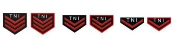 Urutan Kepangkatan Prajurit TNI di Tiga Matra AD, AL dan AU