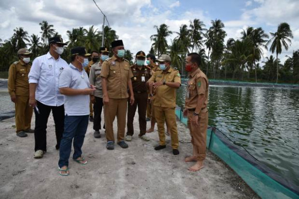 Gubernur Kalteng Bangun Kawasan Tambak Udang Vaname
