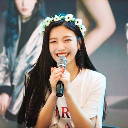 Joy Red Velvet Ulang Tahun ke-25, Banjir Ucapan dan Doa