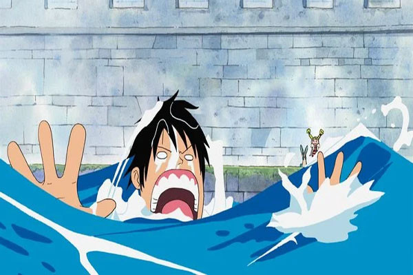 10 Duka Lara Akibat Makan Buah Iblis di Dunia One Piece