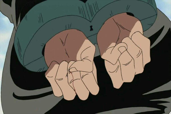 10 Duka Lara Akibat Makan Buah Iblis di Dunia One Piece