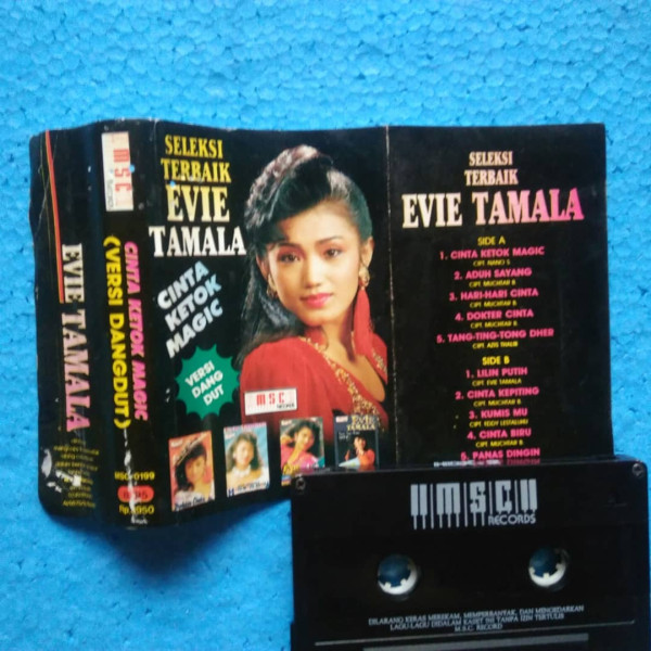 Ingat Evie Tamala Pelantun Selamat Malam? Begini Kehidupannya Sekarang