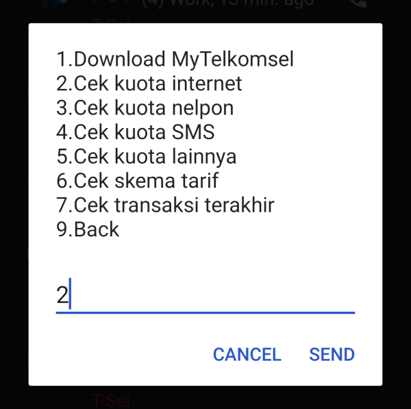 Cara Cek Kuota Telkomsel 100 Persen Manjur, Cermati!