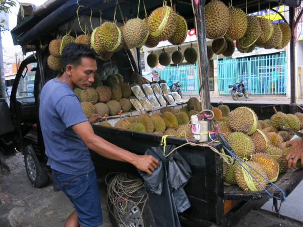 Menunggu Durian Runtuh Lagi di Masa Pandemi dengan Suzuki Carry