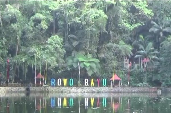 Rowo Bayu, Pertapaan Prabu Tawang Alun yang Selalu Diselimuti Kabut Misteri