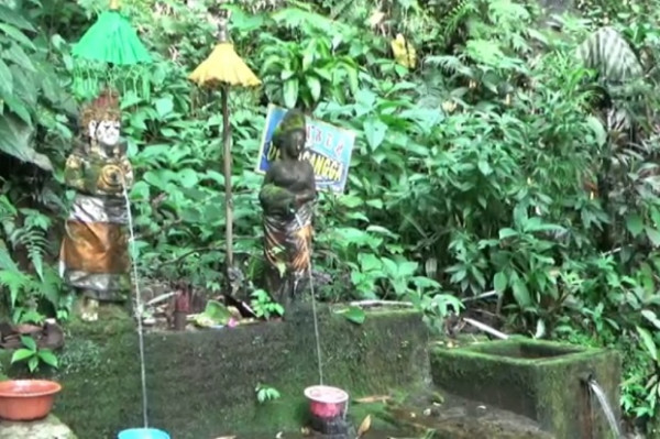 Rowo Bayu, Pertapaan Prabu Tawang Alun yang Selalu Diselimuti Kabut Misteri