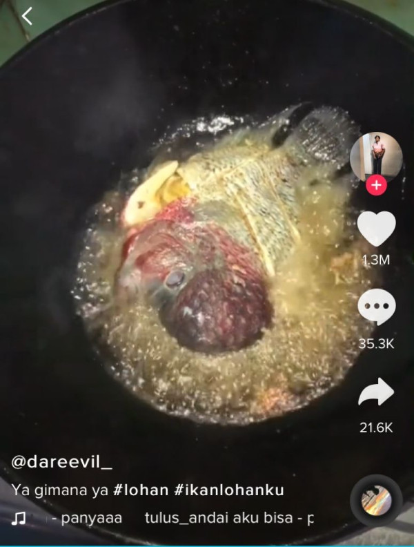 Viral Pria Goreng Ikan Louhan Koleksinya, Aksinya Ditonton 12 Juta Kali