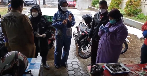 Ratusan Burung Pipit Mati Mendadak di Balaikota Diuji Sampel, Diduga Akibat Iklim